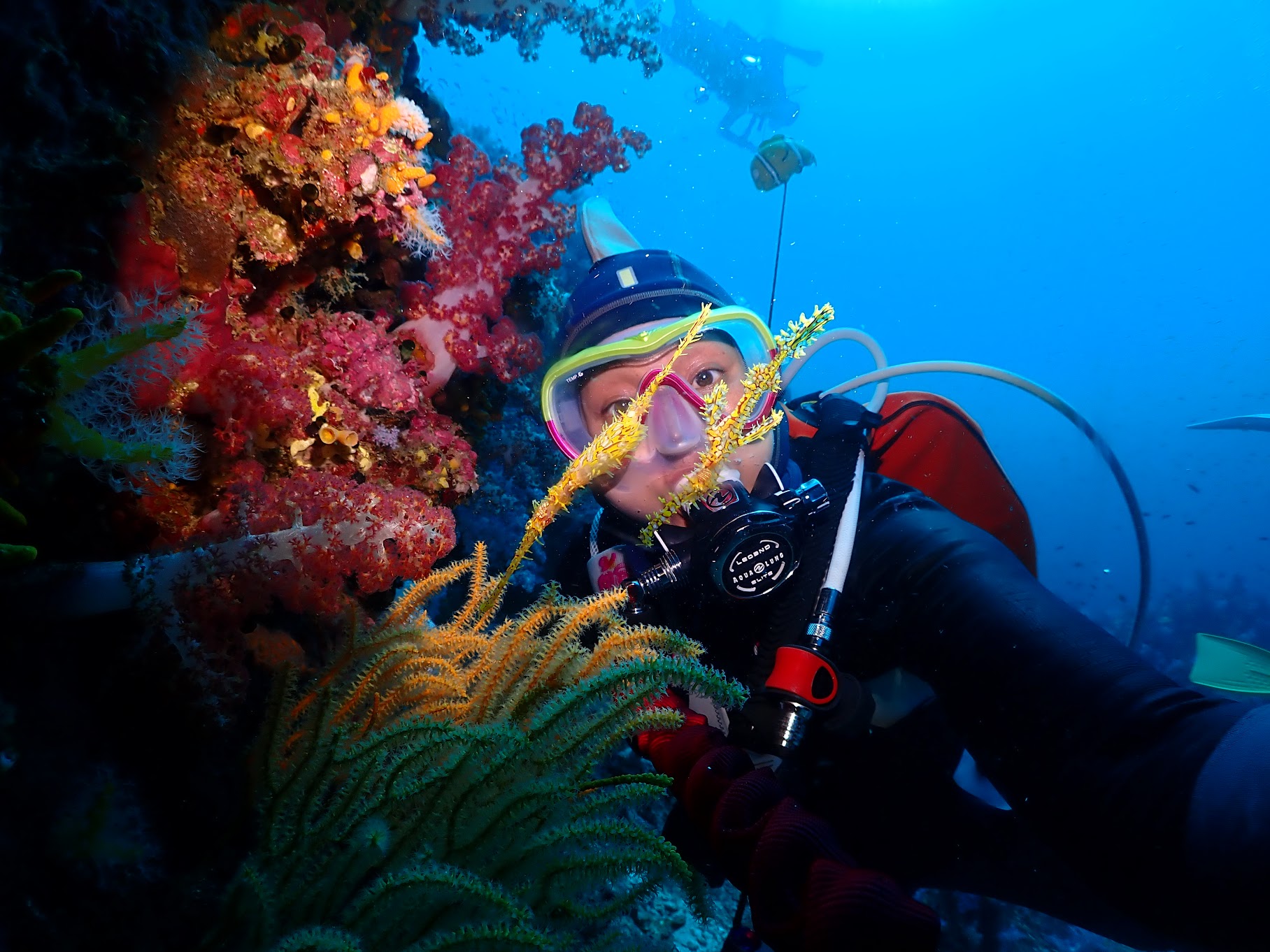 HappyDive.net