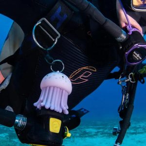Oceanarium Octopus Holder Water Pro
