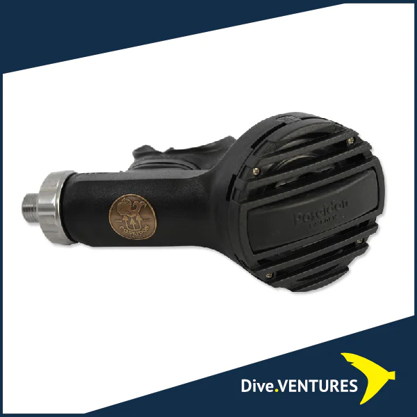 DV_Website_Frame_1