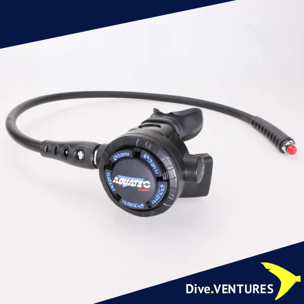RG-2100S4